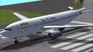Screenshot 2 — Tiger Air Services Airbus A300 B4 200