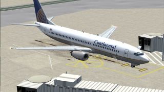 Screenshot 1 — Continental Boeing 737-800 Textures