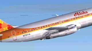 Screenshot 3 — Aloha Flower Scheme Boeing 737-200