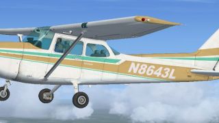 Screenshot 4 — Tan And White Cessna 172 N8643L