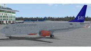 Screenshot 2 — Boeing 737-800 SAS Textures