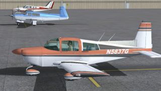Screenshot 10 — Grumman Tiger Repaint Pack