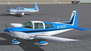 Screenshot 9 — Grumman Tiger Repaint Pack