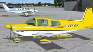 Screenshot 11 — Grumman Tiger Repaint Pack