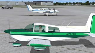 Screenshot 8 — Grumman Tiger Repaint Pack