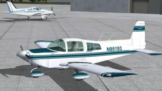 Screenshot 6 — Grumman Tiger Repaint Pack