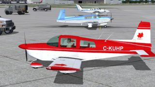 Screenshot 3 — Grumman Tiger Repaint Pack