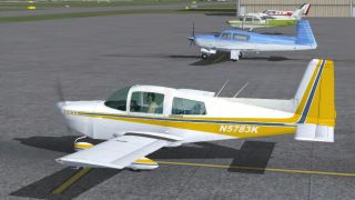 Screenshot 7 — Grumman Tiger Repaint Pack