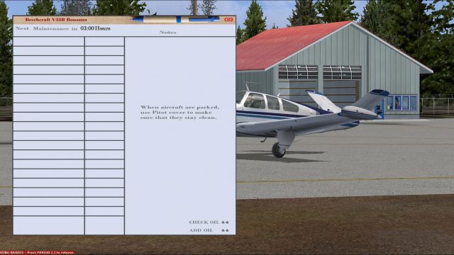 Screenshot 1 — Carenado V35B Damage Mod V1 Update