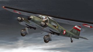 Screenshot 2 — Austria Air Force Dornier Do 28 A