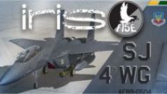 Screenshot 3 — USAF F-15E Mudhen Driver