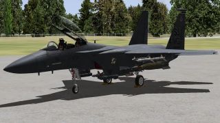 Screenshot 1 — USAF F-15E Mudhen Driver