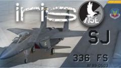 Screenshot 3 — US Air Force F-15E Mudhen Driver "Rocketeers"