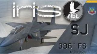 Screenshot 3 — US Air Force F-15E Mudhen Driver "Rocketeers"