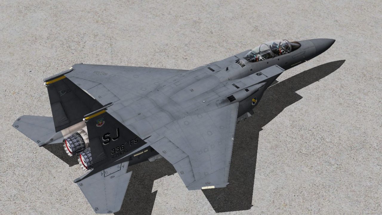 US Air Force F-15E Mudhen Driver 