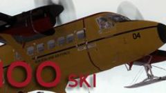 Screenshot 2 — RNZAF DHC-6 Srs100 Ski