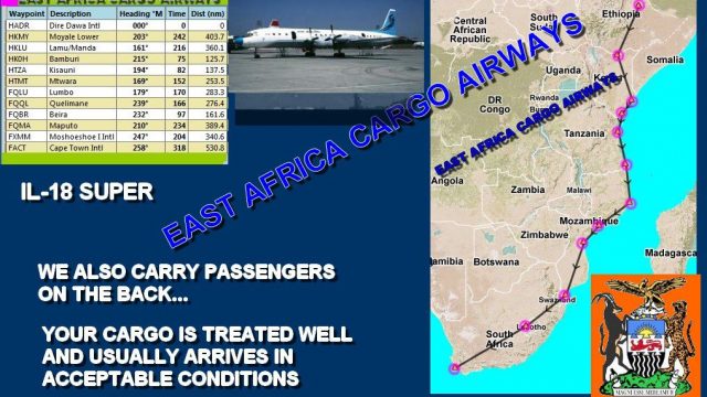 Screenshot 1 — East Africa Cargo Airways Flight