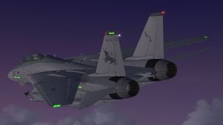 Screenshot 1 — US Navy VF-213 F-14 Tomcat A/C 107