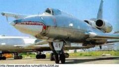 Screenshot 13 — Tu-22 Blinder E Multi Livery Package