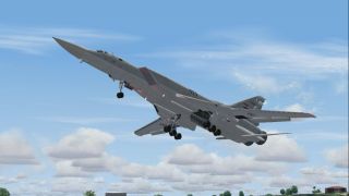 Screenshot 5 — Tupolev TU-22M3 Multi Livery Package