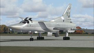 Screenshot 4 — Tupolev TU-22M3 Multi Livery Package