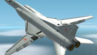 Screenshot 7 — Tupolev TU-22M3 Multi Livery Package