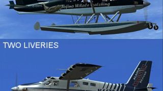Screenshot 10 — Viking DeHavilland DHC2A Mk3 Turbo Beaver Amphibian