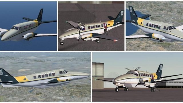 Screenshot 1 — Wagair Beech 99
