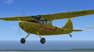 Screenshot 4 — - Cessna L-19 (O-1) model 305C, Bird Dog, Wheels Floats and Skis Package