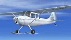 Screenshot 6 — - Cessna L-19 (O-1) model 305C, Bird Dog, Wheels Floats and Skis Package