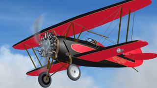 Screenshot 4 — WACO ATO Taperwing CF-BPM