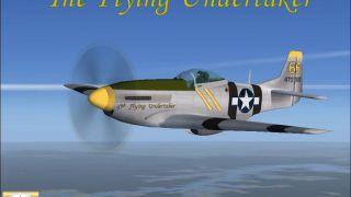 Screenshot 1 — P51 Mustang D The Flying Undertaker
