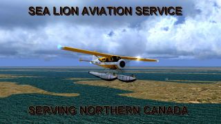 Screenshot 1 — Sea Lion Air Service Scenery And Flights