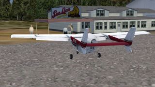 Screenshot 2 — Sea Lion Air Service Scenery And Flights