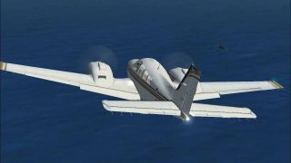Screenshot 3 — Whales in the Ocean, V1.0