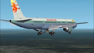 Screenshot 4 — Air Viet Nam Boeing 757-300