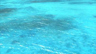 Screenshot 5 — Water Effects Texture