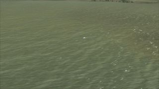 Screenshot 24 — Water Effects Texture