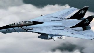 Screenshot 4 — Aircraft Grumman F-14B Tomcat VF-103 Jolly Rogers