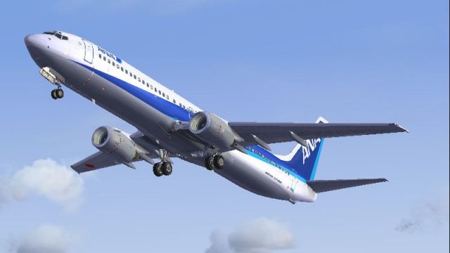 Screenshot 1 — All Nippon Airways Boeing 737-900