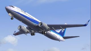 Screenshot 1 — All Nippon Airways Boeing 737-800