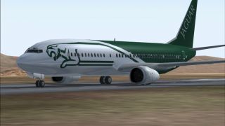 Screenshot 2 — Ryanair Boeing 737 EI-CJE