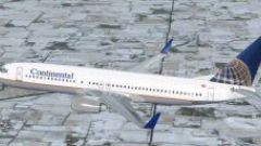 Screenshot 2 — Boeing 737-800 Continental Textures