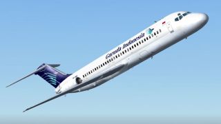 Screenshot 1 — Garuda Douglas DC-9-30