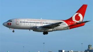 Screenshot 2 — Boeing 737-800 Ryanair Vodafone Textures only