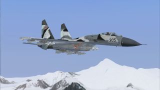 Screenshot 5 — Russian Air Force Sukhoi Su-27 Flanker