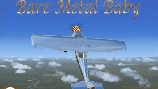 Screenshot 3 — Cessna 172 'Bare Metal Baby'