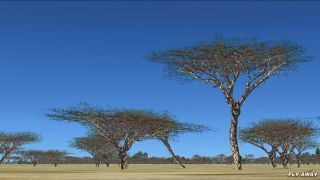 Screenshot 9 — TreeX Enhanced Trees