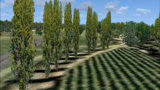 Screenshot 20 — TreeX Enhanced Trees
