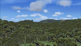 Screenshot 13 — TreeX Enhanced Trees